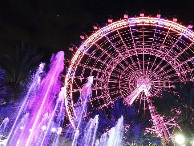  Icon Park observation wheel