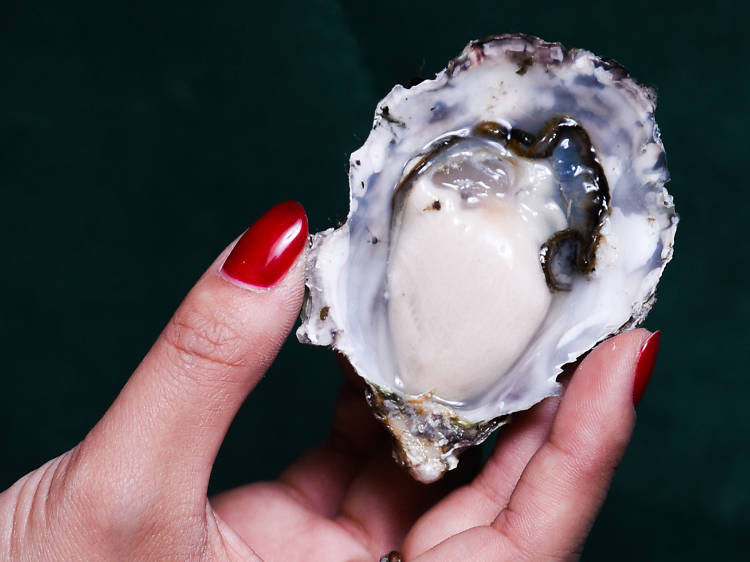  Great wind down: Martini and oysters at Employees Only