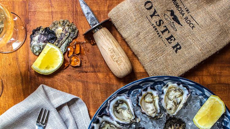 A tray of fresh oyster sits by a knife and lemon wedge.