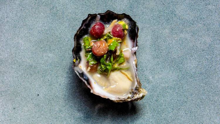 Mimosa Rock Oyster Masterclass