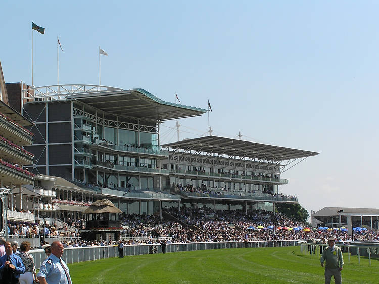 Have a day out at York Racecourse