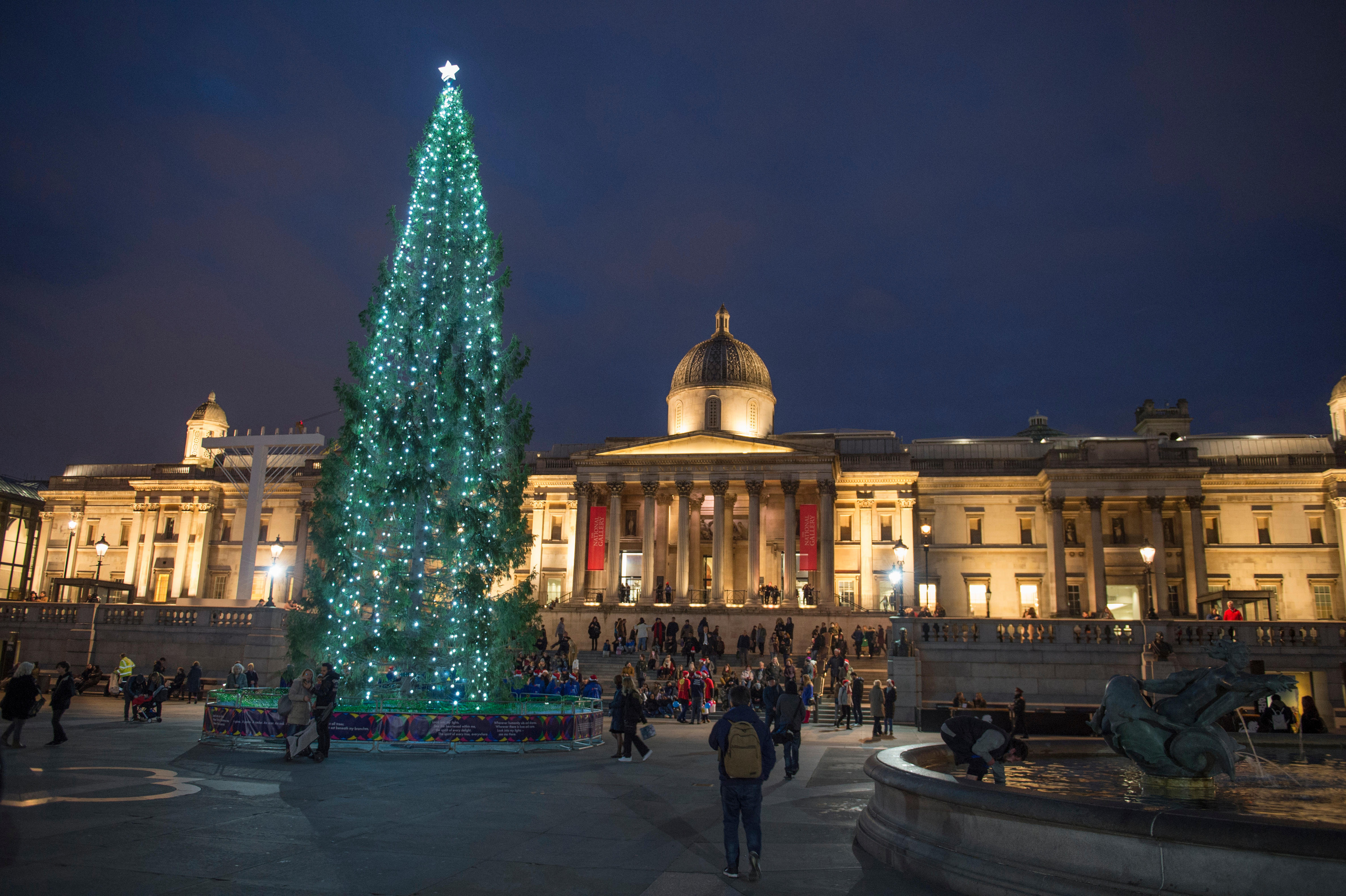 London's Christmas Trees: Ranked