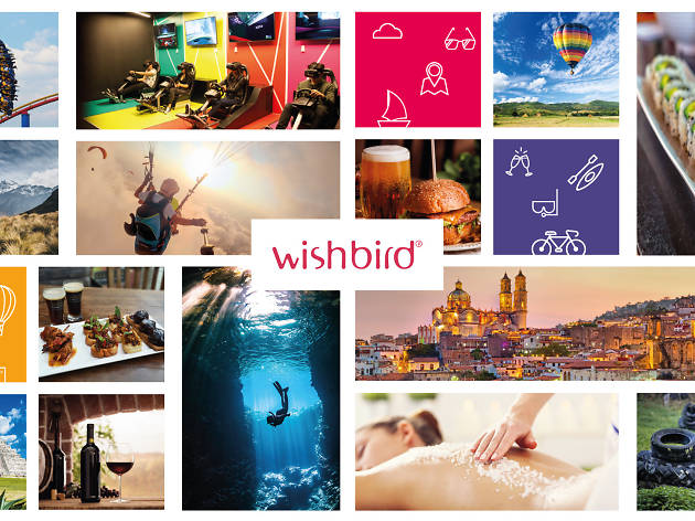 Regalos Wishbird Regalos Wishbird