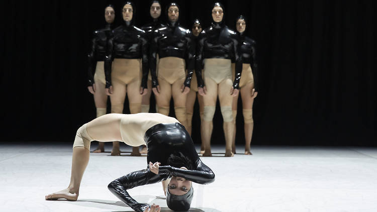 Sydney Dance Company New Breed 2019 supplied