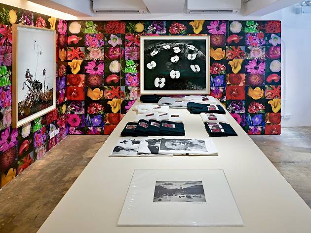 Shop Taka Ishii Gallery Shop Taka Ishii Gallery
