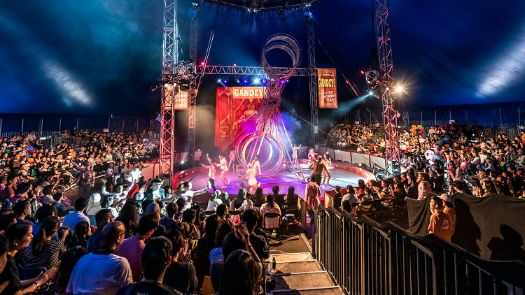 The return of the Ring Mistress