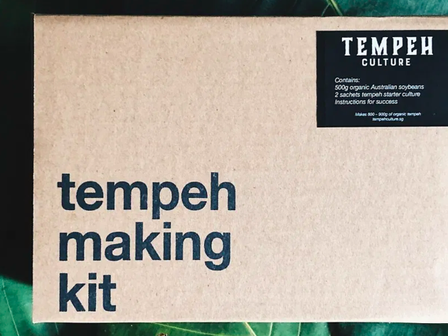 Tempeh Culture Tempeh Culture