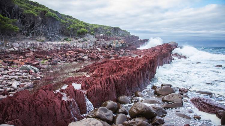 Photograph: Destination NSW/Davey Rogers