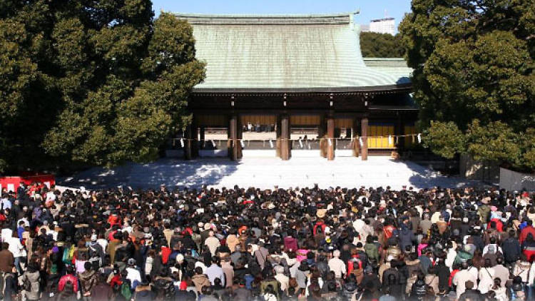 Meiji Jingu Shrine New Year's Hatsumode 