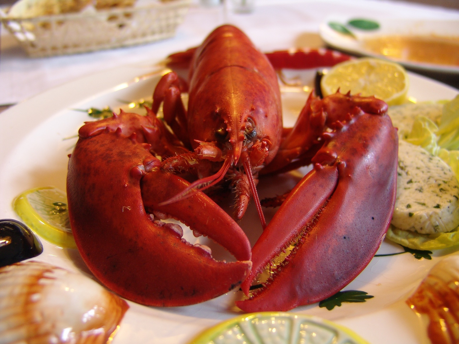 Best Lobster in Boston 2020: 13 Places with Top Lobster Dishes