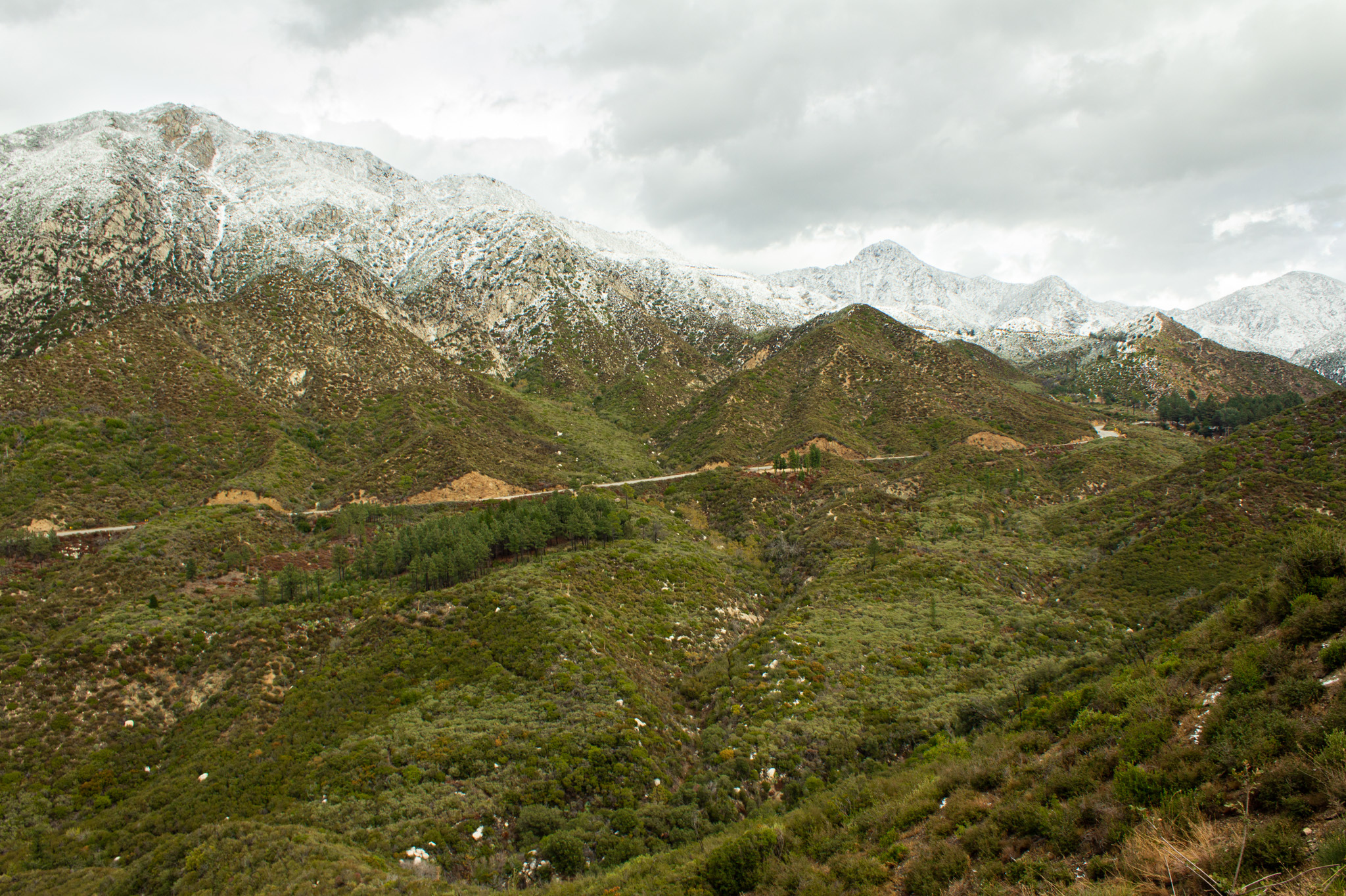 15 Things to Do in Winter in Los Angeles—Including Snow