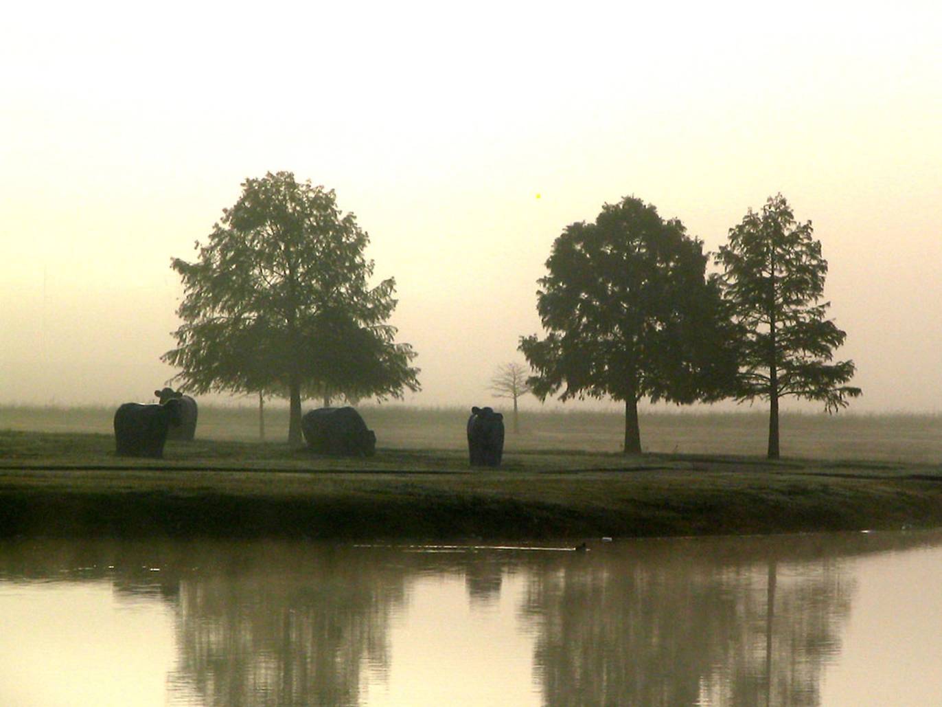 10 Best Parks in Dallas for Play, Trails and Stunning Views