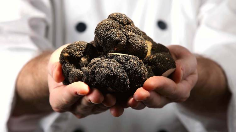 Fat Cow Truffles