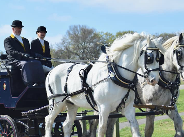 Winter Horse Carriage Rides Winter Horse Carriage Rides