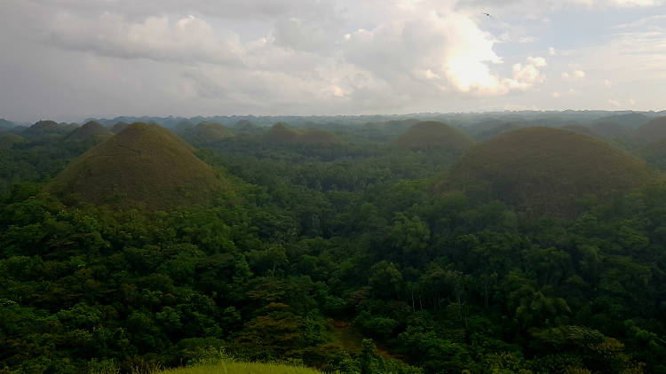 The Chocolate Hills