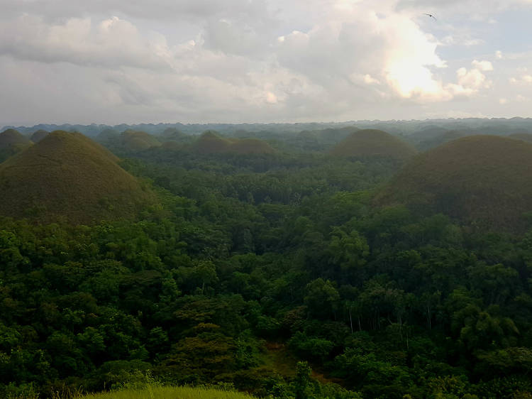 The Chocolate Hills