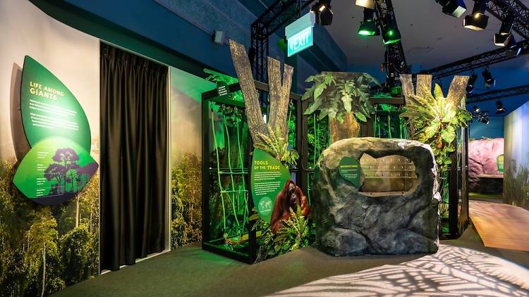 Science Centre Singapore