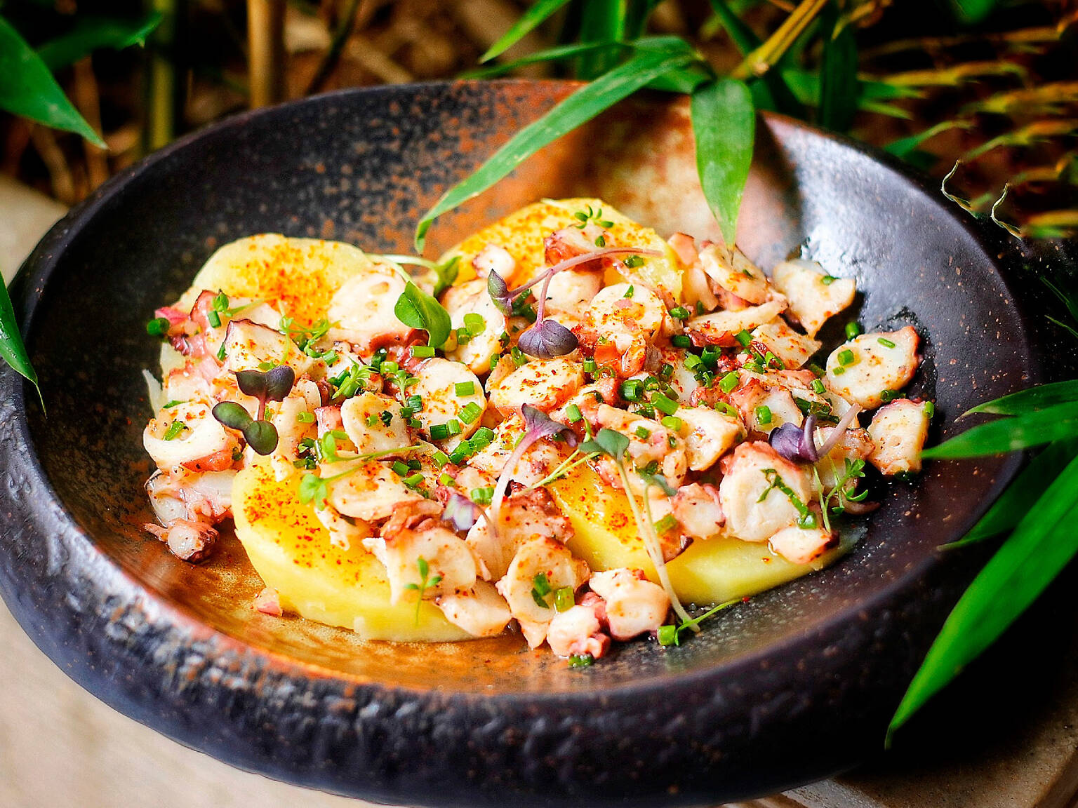 12 Best Restaurants in Marrakech By A Local Foodie