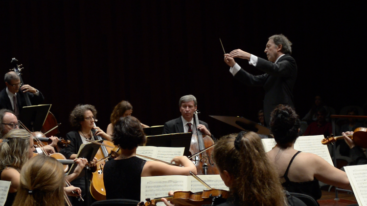 Orquestra de Cambra Catalana