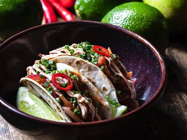 Taquitos de atum Taquitos de atum