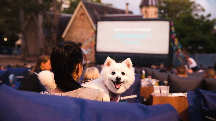 A person and a dog at an outdoor cinema.