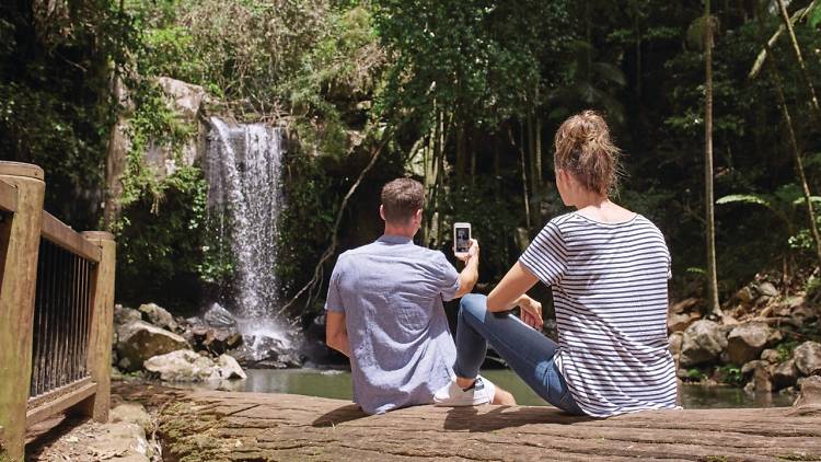 Cedar Creek Falls, Mount Tamborine