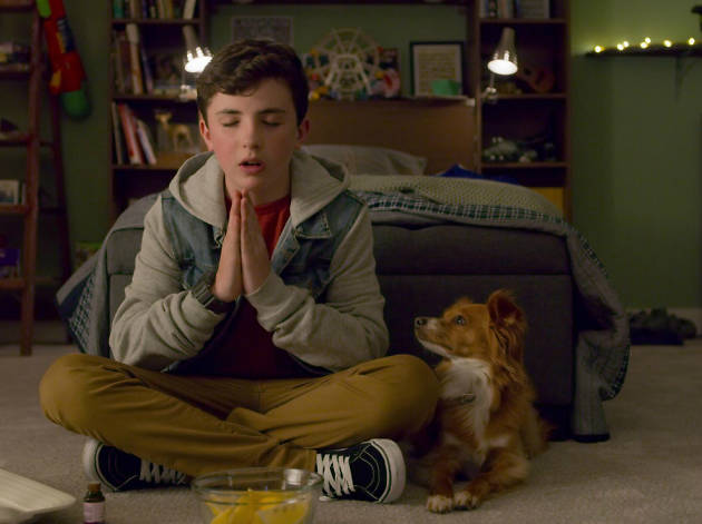 Guau, qué amigo Foto: Cortesía Netflix