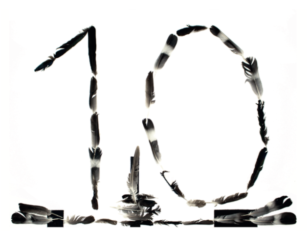 Fundació Arranz-Bravo 10 anys Fundació Arranz-Bravo 10 anys