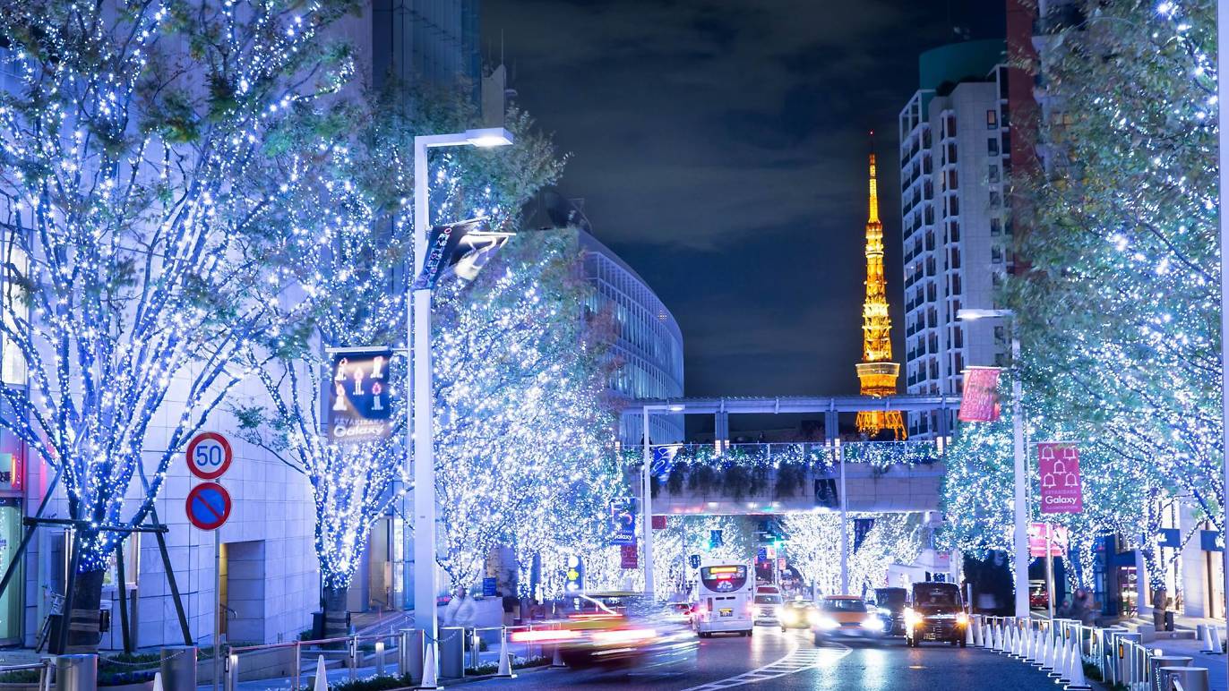 Keyakizaka Illumination | Keyakizaka-dori | Things to do in Tokyo