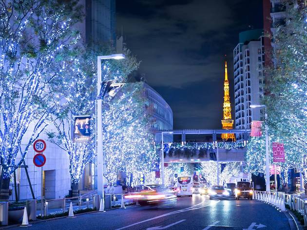 Keyazaka Illuminations Keyazaka Illuminations