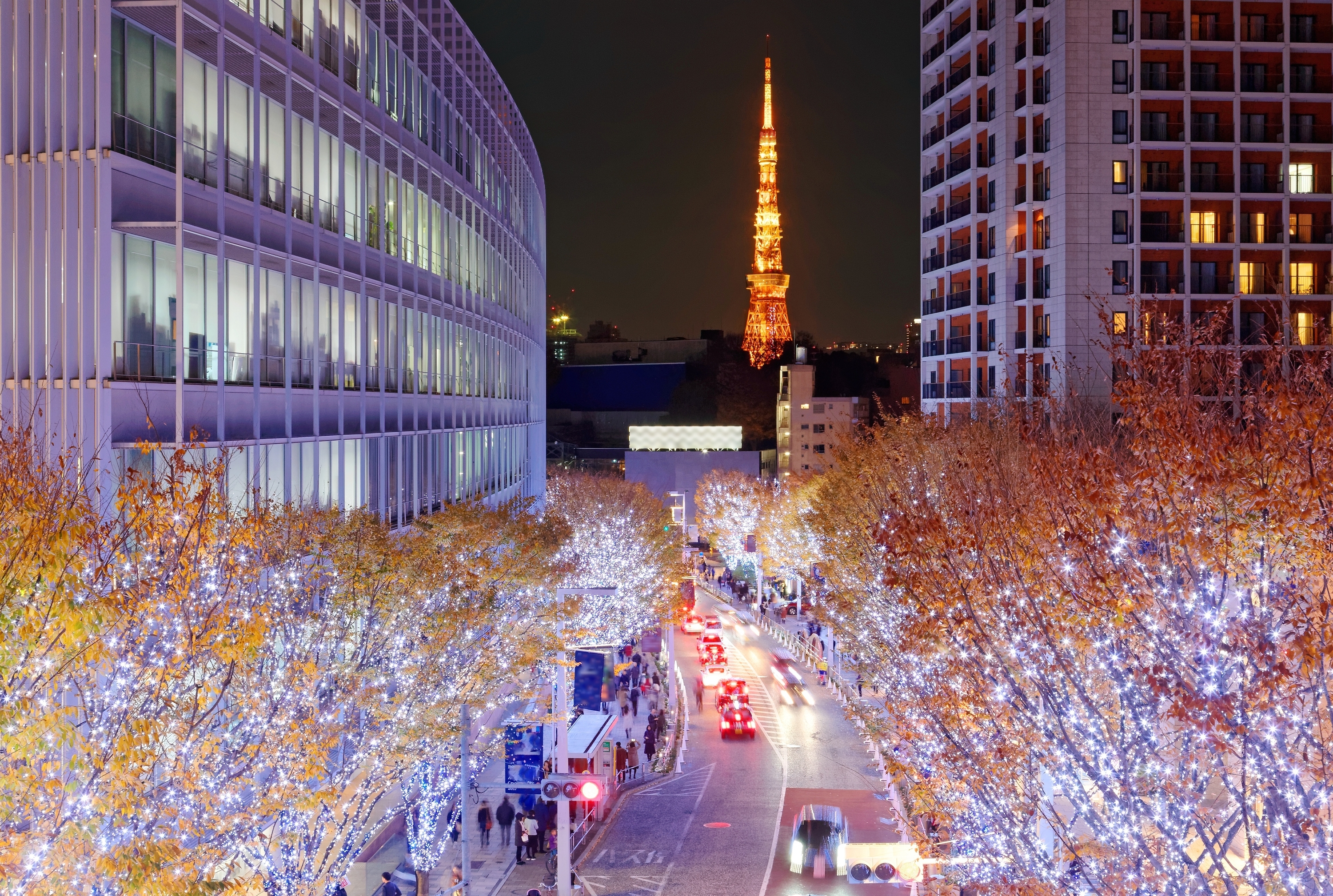 Incredible winter light displays in Tokyo | Time Out Tokyo