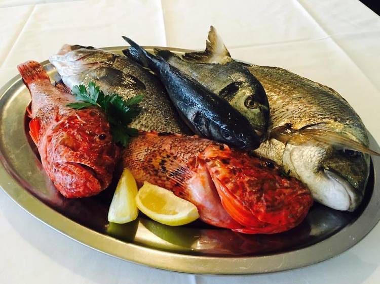 Dine on divine seafood at Lino