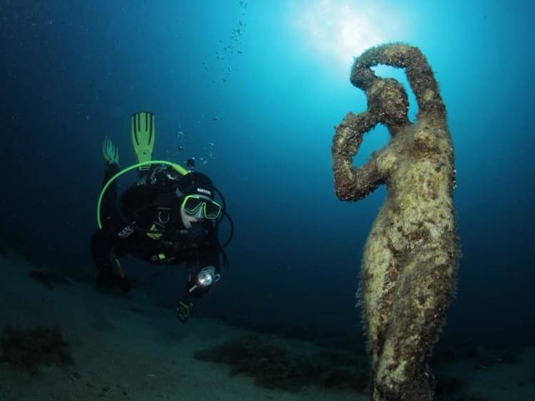 See a Victorian shipwreck