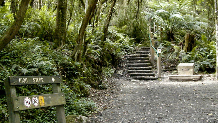 1,000 steps, Monts dandenong, Victoria