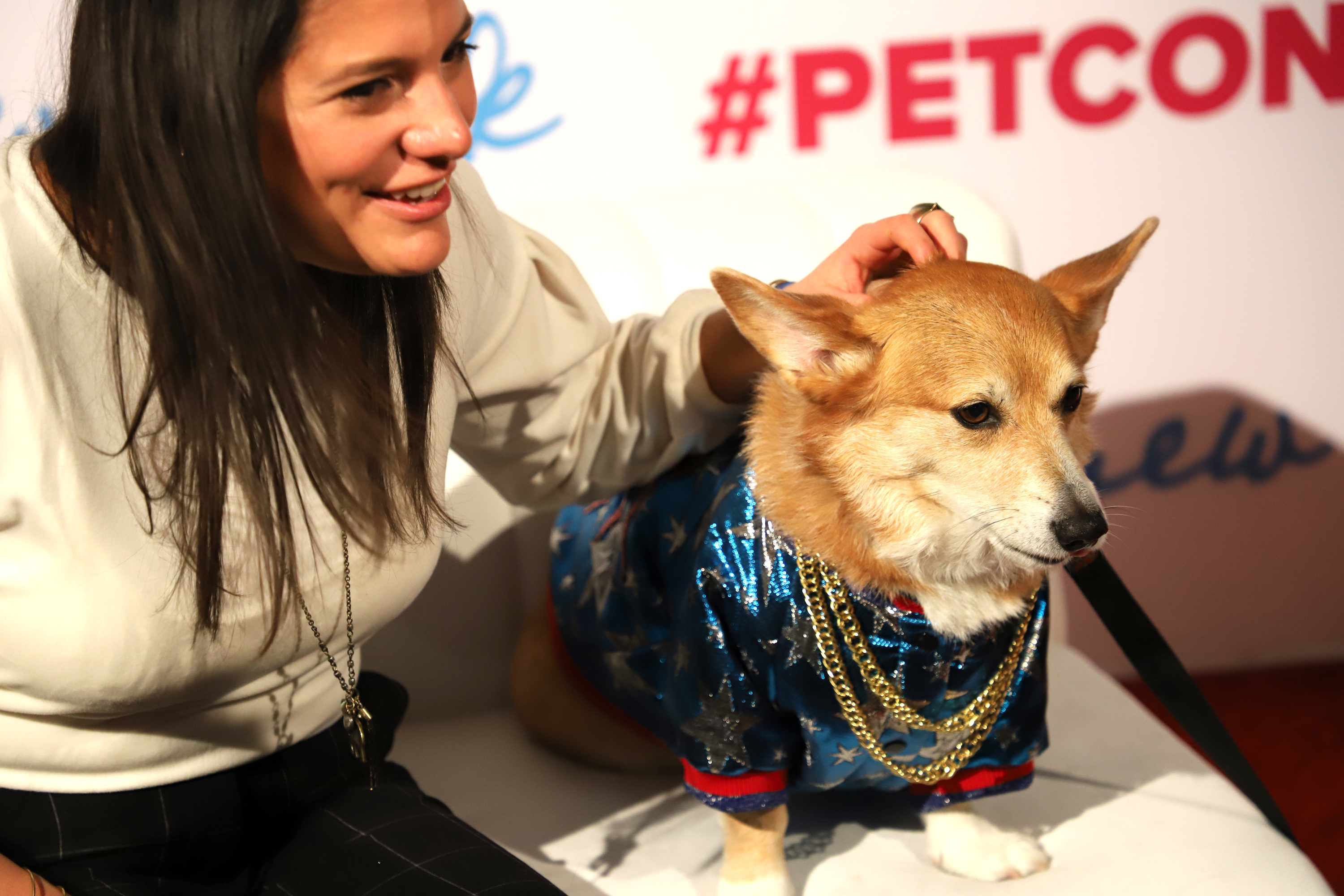 Petcon returns with Instafamous pet celebrities