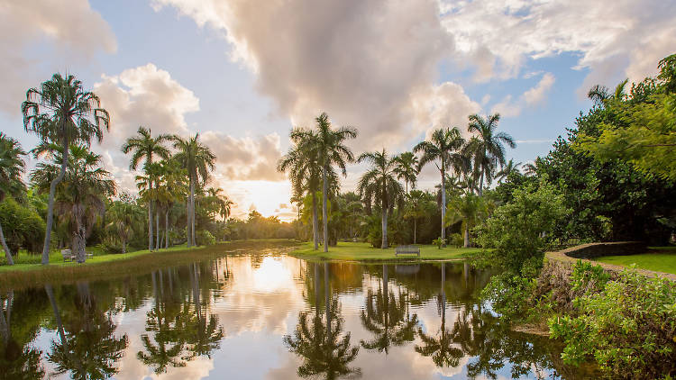 Fairchild Tropical Botanic Garden