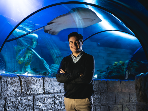 Rui Ferreira, director-geral do Sea Life Porto