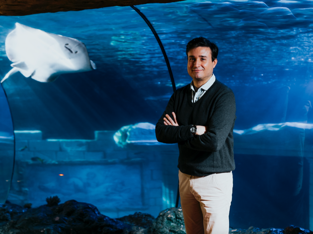 Rui Ferreira, director geral do Sea Life Porto