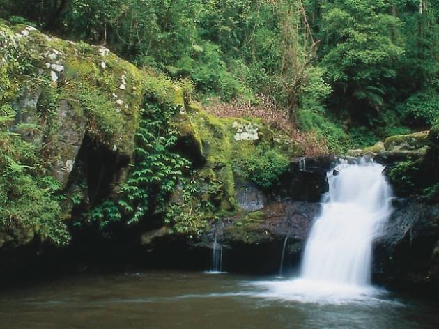 Cronan Creek Falls Cronan Creek Falls