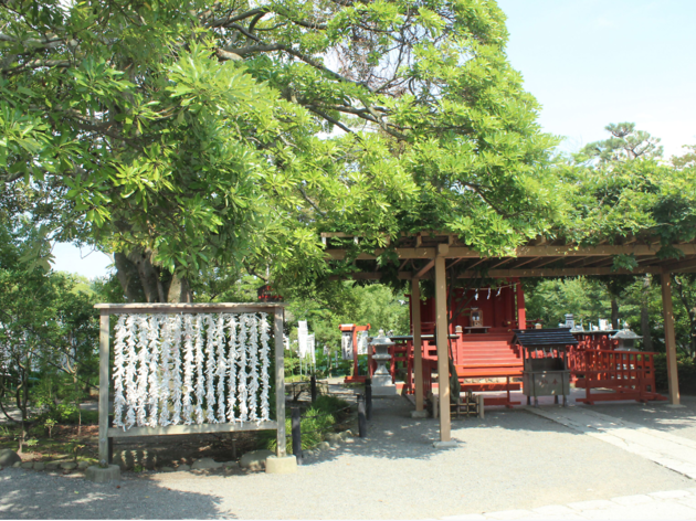 鶴岡八幡宮