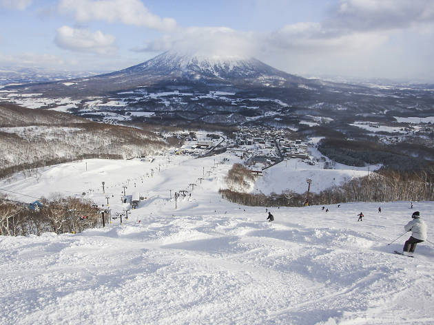 niseko niseko