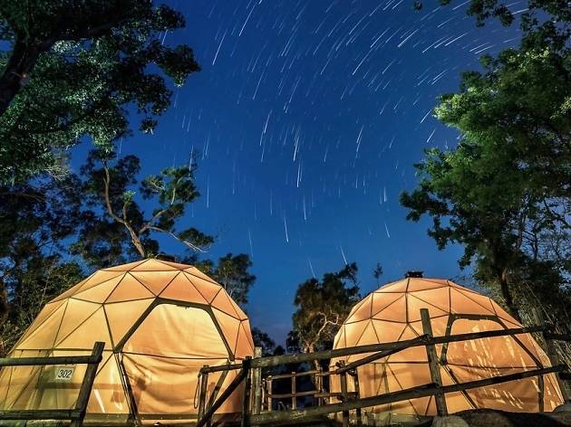Sai Yuen Farm——glamping hero image Sai Yuen Farm——glamping hero image