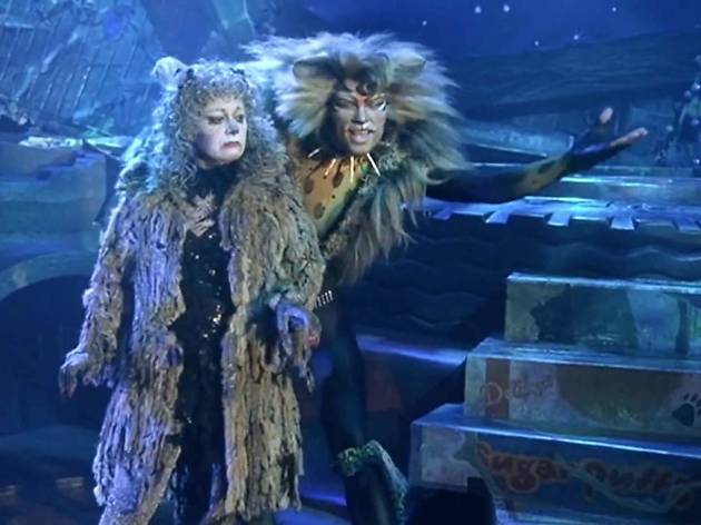 Cats 1998 Cats 1998
