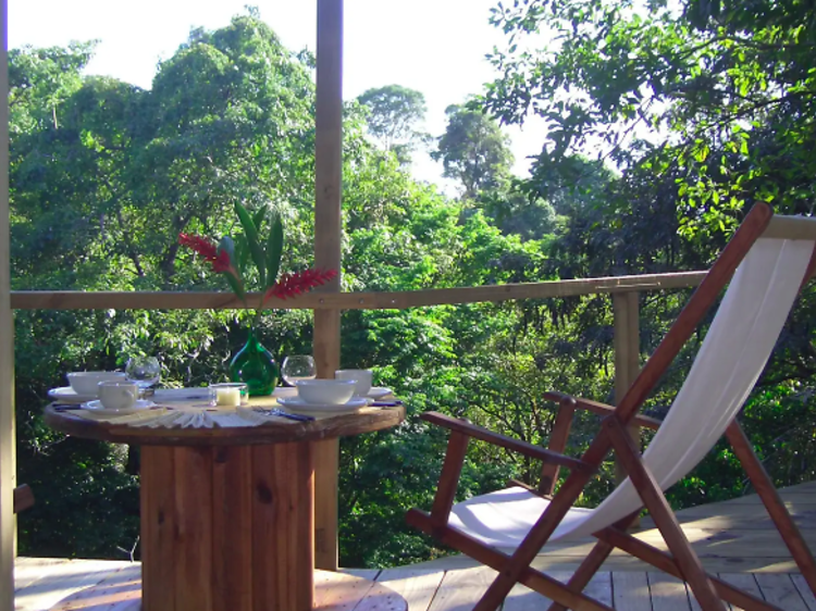 The treehouse in Manuel Antonio