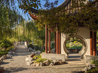 Lunar New Year Festival at the Huntington Lunar New Year Festival at the Huntington