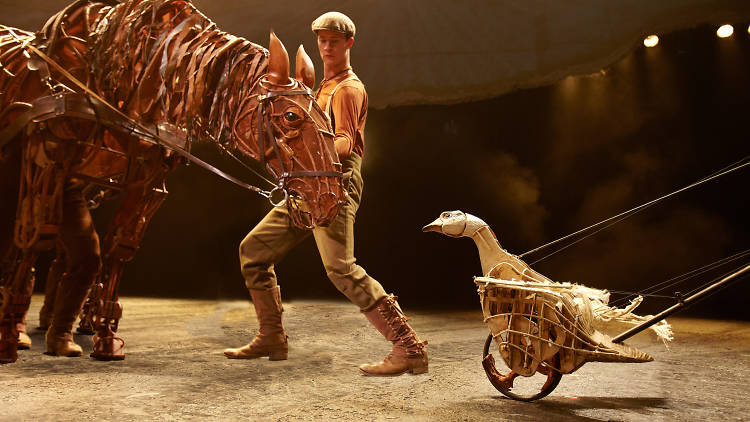 War Horse