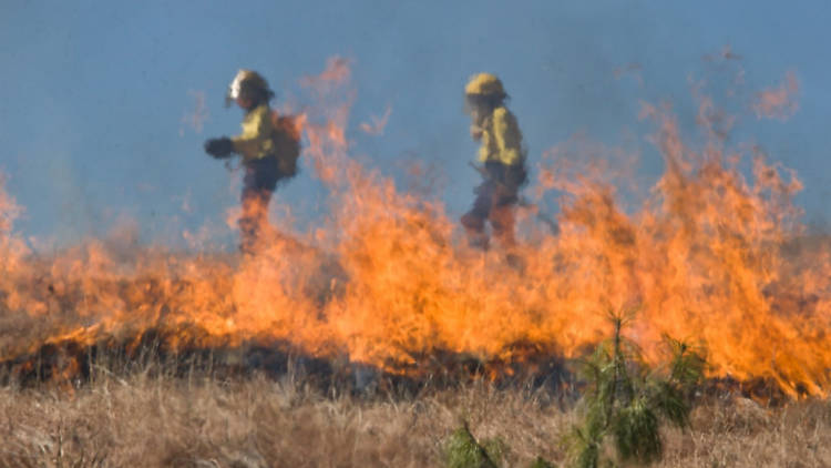 Bushfire crisis pic