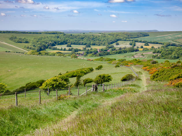 South Downs