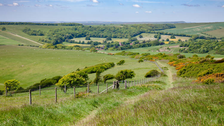 South Downs