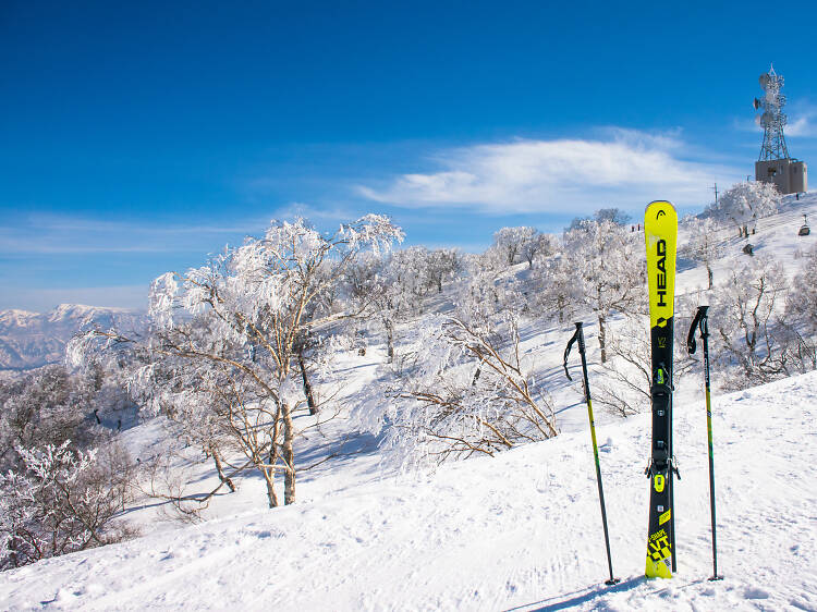 Nozawa Onsen 